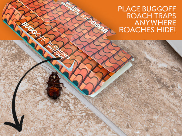 Roach House Cockroach Baited Sticky Traps, No Chemicals or Pesticides!